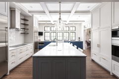 Glen Ellyn Luxury Kitchen Renovation