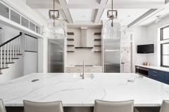 Glen Ellyn Luxury Kitchen Renovation